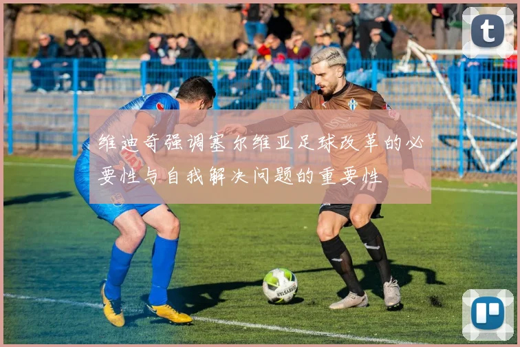 维迪奇强调塞尔维亚足球改革的必要性与自我解决问题的重要性